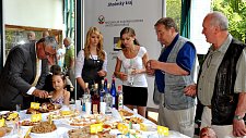 Ročník 2011