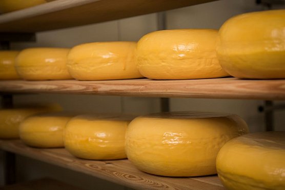 Letošní ročník projektu Poznej svého farmáře zavede návštěvníky nejen na ekologické farmy